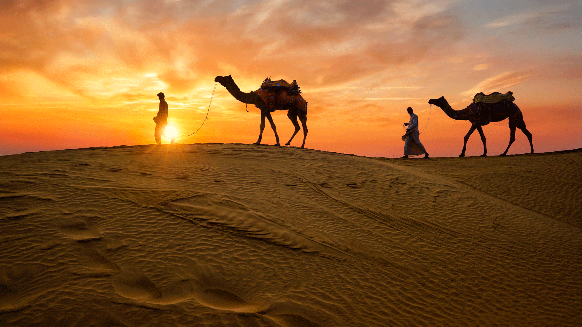 rajasthan-camels-desert-india